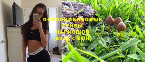 прущие крисы Покров